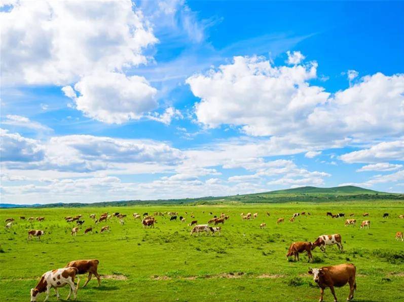 内蒙古，致尊敬的听众朋友们