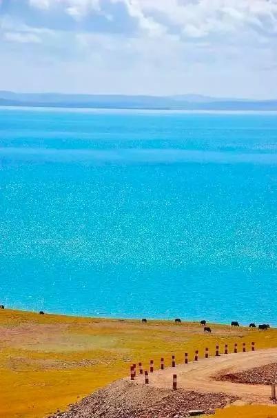 青海探秘,神秘高原的壮丽景色等你来体验