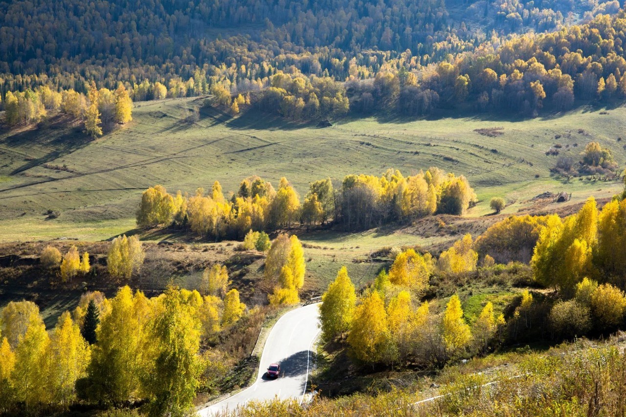 新疆之光，引领科技生活新纪元的高科技产品探秘