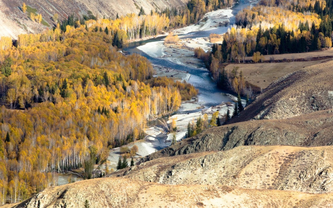 新疆之光,引领科技生活新纪元的高科技产品探秘