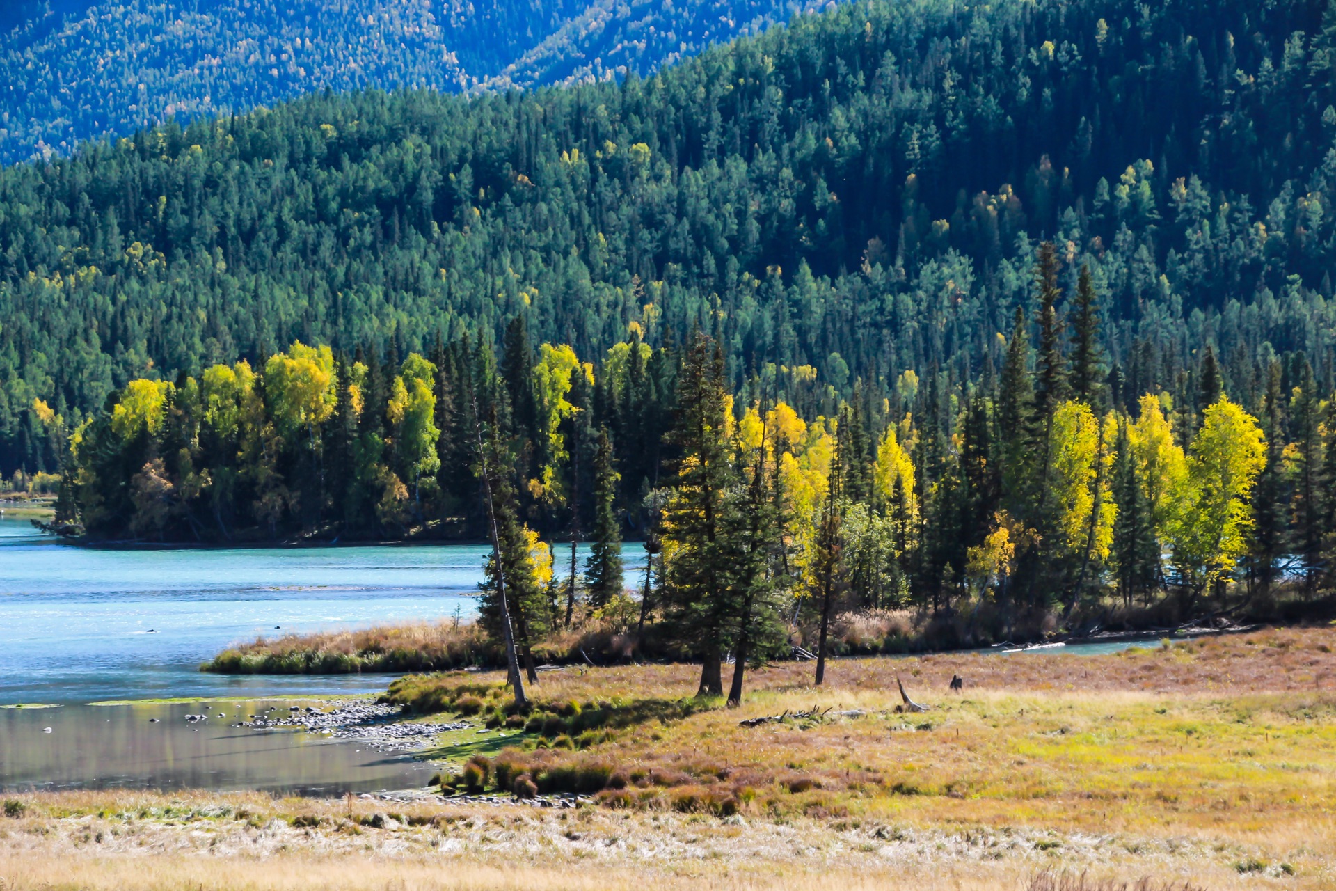 新疆之光,引领科技生活新纪元的高科技产品探秘
