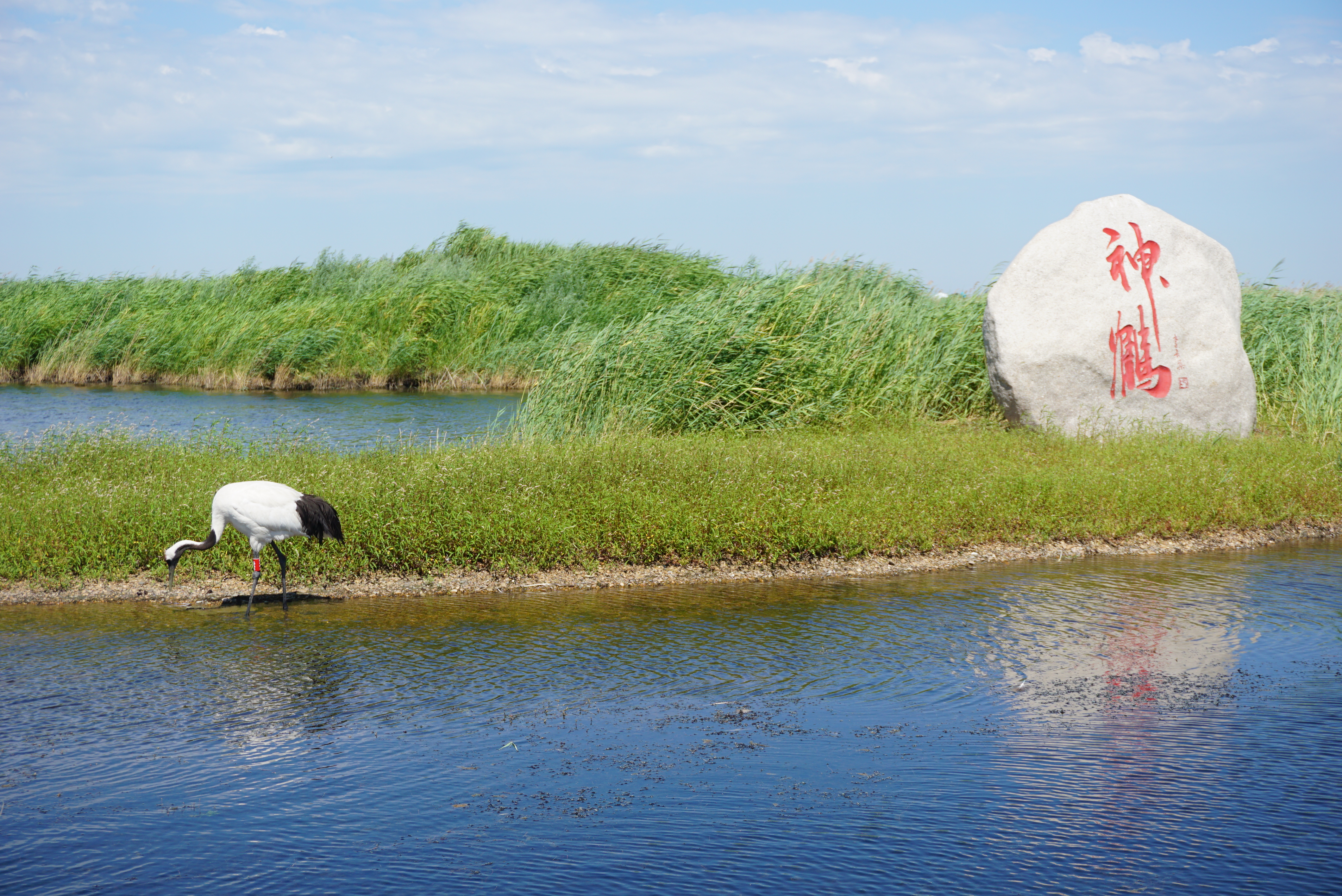 运城赋，千年古郡的文化传承